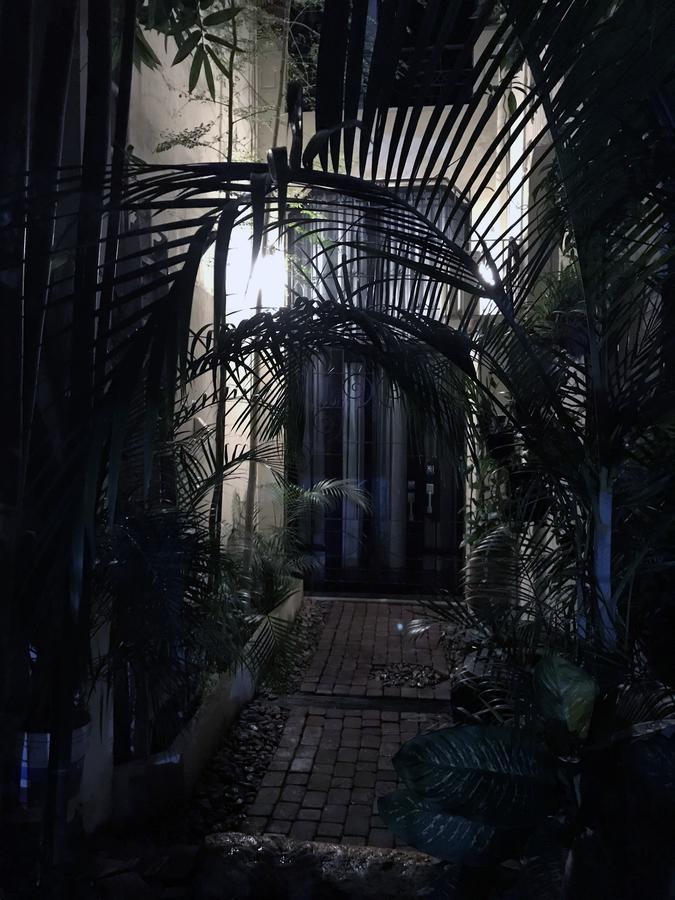 Colonia Americana Two Level Loft Гвадалахара Экстерьер фото